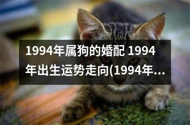 <h3>1994年属狗的婚配 1994年出生运势走向(1994年属狗的男孩婚配)