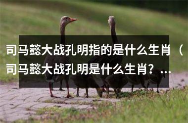 司马懿大战孔明指的是什么生肖（司马懿大战孔明是什么生肖？）