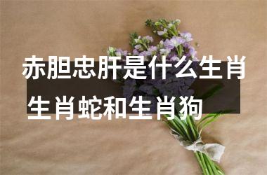 <h3>赤胆忠肝是什么生肖 生肖蛇和生肖狗