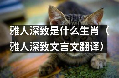 雅人深致是什么生肖（雅人深致文言文翻译）