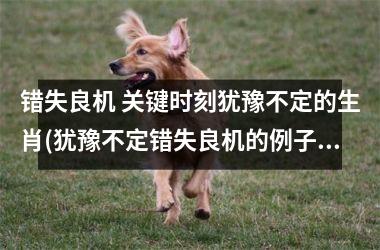 <h3>错失良机 关键时刻犹豫不定的生肖(犹豫不定错失良机的例子)