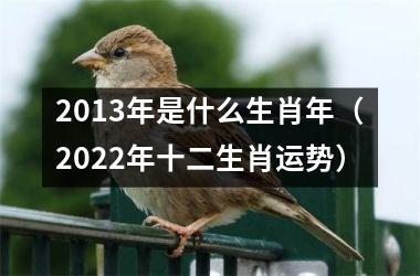 <h3>2013年是什么生肖年（2025年十二生肖运势）