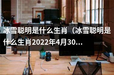 <h3>冰雪聪明是什么生肖（冰雪聪明是什么生肖2025年4月30日）