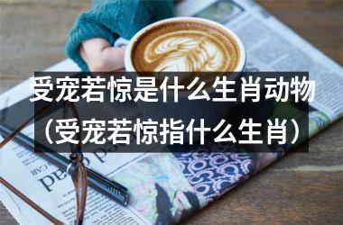 受宠若惊是什么生肖动物（受宠若惊指什么生肖）