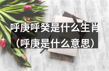 <h3>呼庚呼癸是什么生肖（呼庚是什么意思）