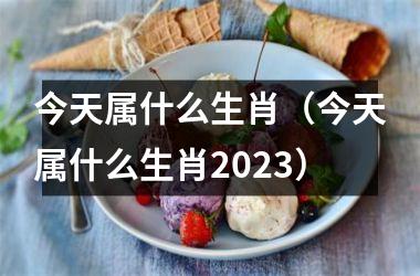 <h3>今天属什么生肖（今天属什么生肖2023）