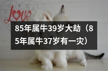 <h3>85年属牛39岁大劫（85年属牛37岁有一灾）