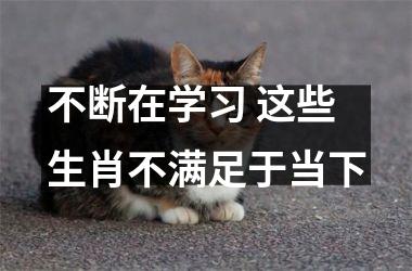 不断在学习 这些生肖不满足于当下