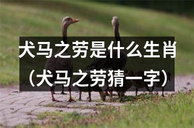 <h3>犬马之劳是什么生肖（犬马之劳猜一字）