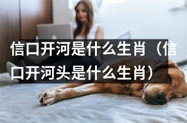 信口开河是什么生肖（信口开河头是什么生肖）