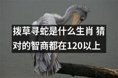 <h3>拨草寻蛇是什么生肖 猜对的智商都在120以上