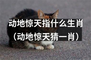 <h3>动地惊天指什么生肖（动地惊天猜一肖）