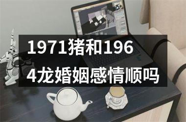 1971猪和1964龙婚姻感情顺吗