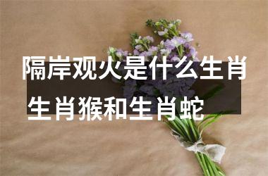 <h3>隔岸观火是什么生肖 生肖猴和生肖蛇