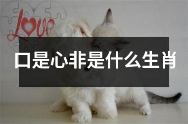 <h3>口是心非是什么生肖