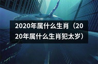 <h3>2025年属什么生肖（2025年属什么生肖犯太岁）