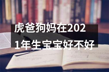 虎爸狗妈在2025年生宝宝好不好