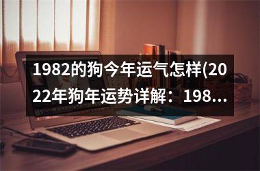 <h3>1982的狗今年运气怎样(2025年狗年运势详解：1982年出生的狗狗如何把握机遇？)