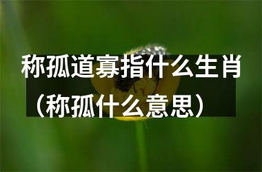 <h3>称孤道寡指什么生肖（称孤什么意思）