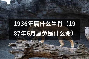 <h3>1936年属什么生肖（1987年6月属兔是什么命）