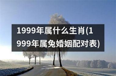 <h3>1999年属什么生肖(1999年属兔婚姻配对表)