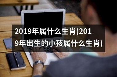 <h3>2019年属什么生肖(2019年出生的小孩属什么生肖)