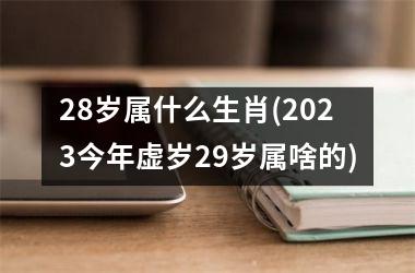 <h3>28岁属什么生肖(2025今年虚岁29岁属啥的)