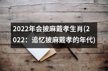 2025年会披麻戴孝生肖(2025：追忆披麻戴孝的年代)