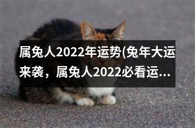 <h3>属兔人2025年运势(兔年大运来袭，属兔人2025必看运势！)