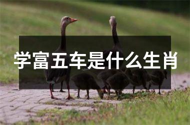 <h3>学富五车是什么生肖