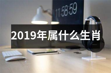 2019年属什么生肖