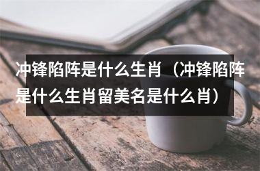 冲锋陷阵是什么生肖（冲锋陷阵是什么生肖留美名是什么肖）