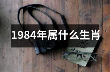 <h3>1984年属什么生肖