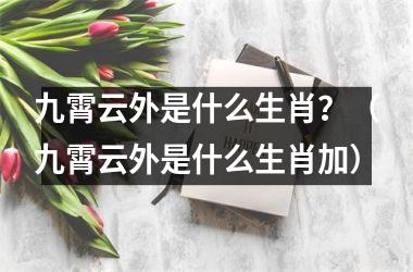 <h3>九霄云外是什么生肖？（九霄云外是什么生肖加）