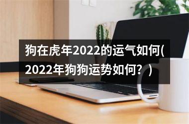 <h3>狗在虎年2025的运气如何(2025年狗狗运势如何？)