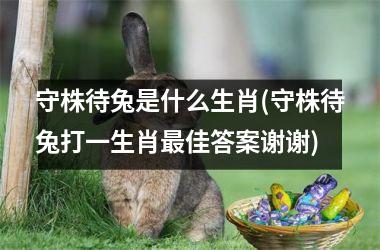 <h3>守株待兔是什么生肖(守株待兔打一生肖佳答案谢谢)