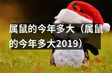 属鼠的今年多大（属鼠的今年多大2019）