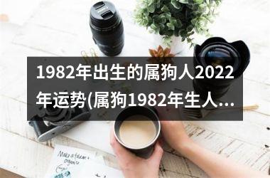 <h3>1982年出生的属狗人2025年运势(属狗1982年生人2025年运势解析。)