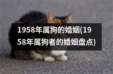 <h3>1958年属狗的婚姻(1958年属狗者的婚姻盘点)