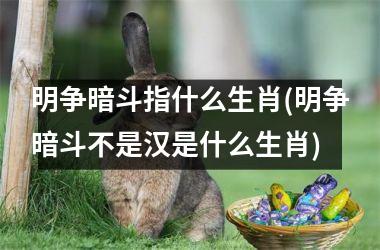 <h3>明争暗斗指什么生肖(明争暗斗不是汉是什么生肖)