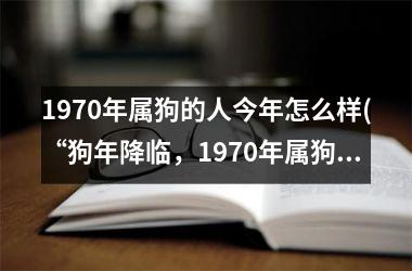 1970年属狗的人今年怎么样(“狗年降临，1970年属狗人命运如何？！”)