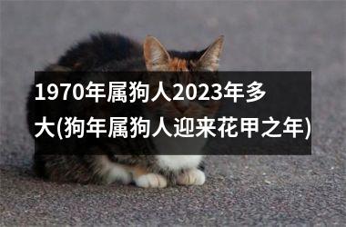 <h3>1970年属狗人2025年多大(狗年属狗人迎来花甲之年)