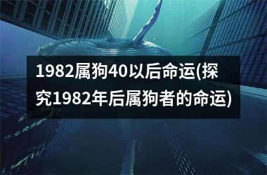 <h3>1982属狗40以后命运(探究1982年后属狗者的命运)