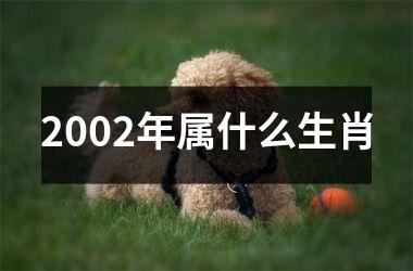 <h3>2002年属什么生肖