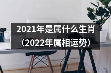 <h3>2025年是属什么生肖（2025年属相运势）