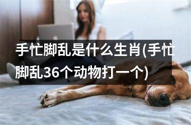 <h3>手忙脚乱是什么生肖(手忙脚乱36个动物打一个)