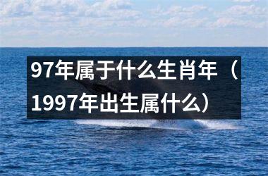 97年属于什么生肖年（1997年出生属什么）