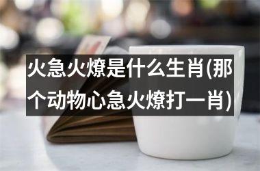 火急火燎是什么生肖(那个动物心急火燎打一肖)