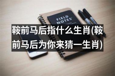 <h3>鞍前马后指什么生肖(鞍前马后为你来猜一生肖)