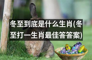 <h3>冬至到底是什么生肖(冬至打一生肖佳答答案)